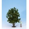 Noch 68015 Laubbaum 240mm -SpielzeugBahnWelt Laubbaum 240mm Noch 68015 b 0